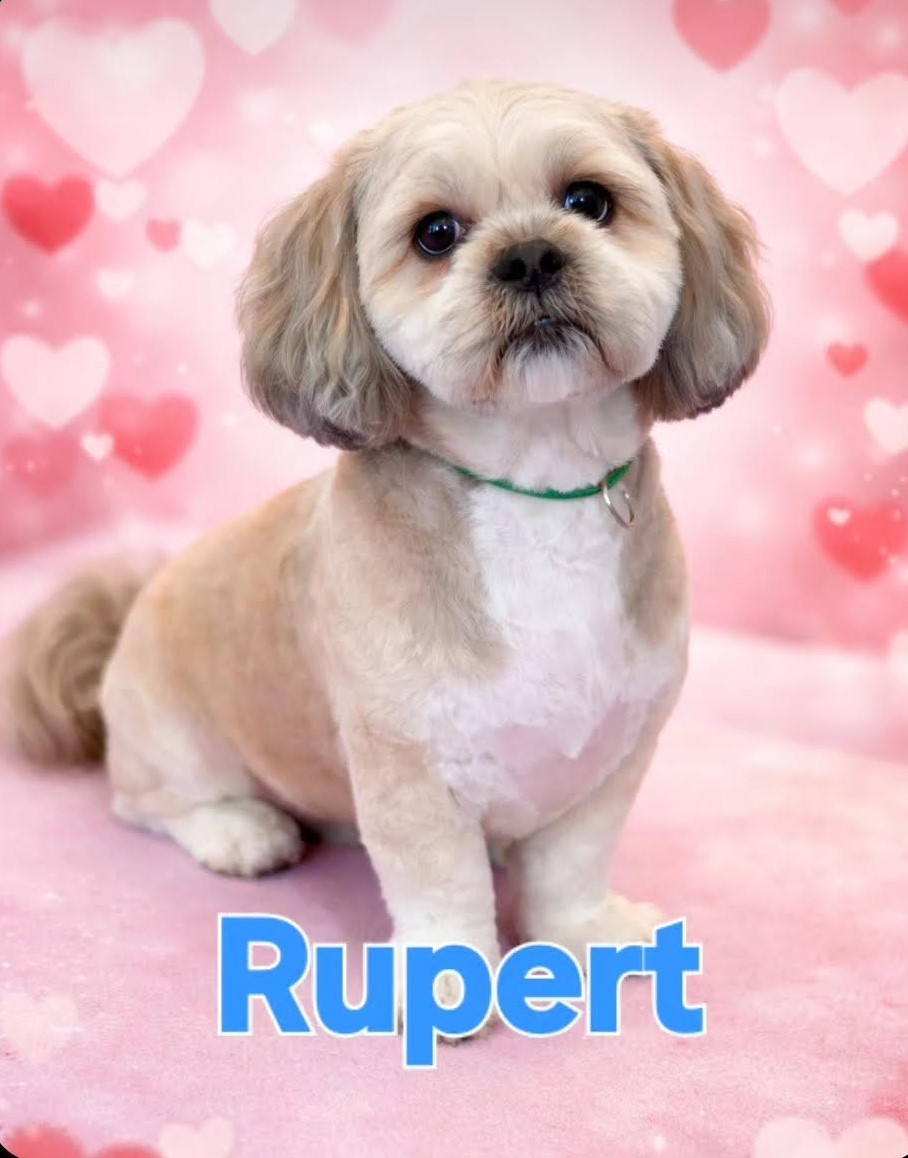 Rupert