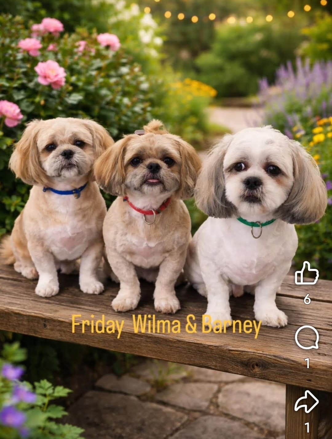 Friday, Wilma & Barney