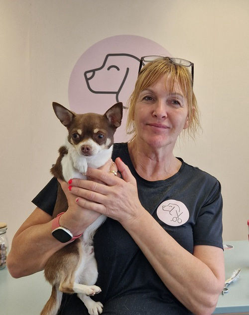 Happy dog at The Fur Salon
